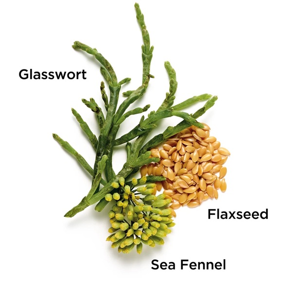 NIB SUPERSTART SKIN RENEWAL BOOSTER BY ELIZABETH ARDEN - Picture 2 of 5